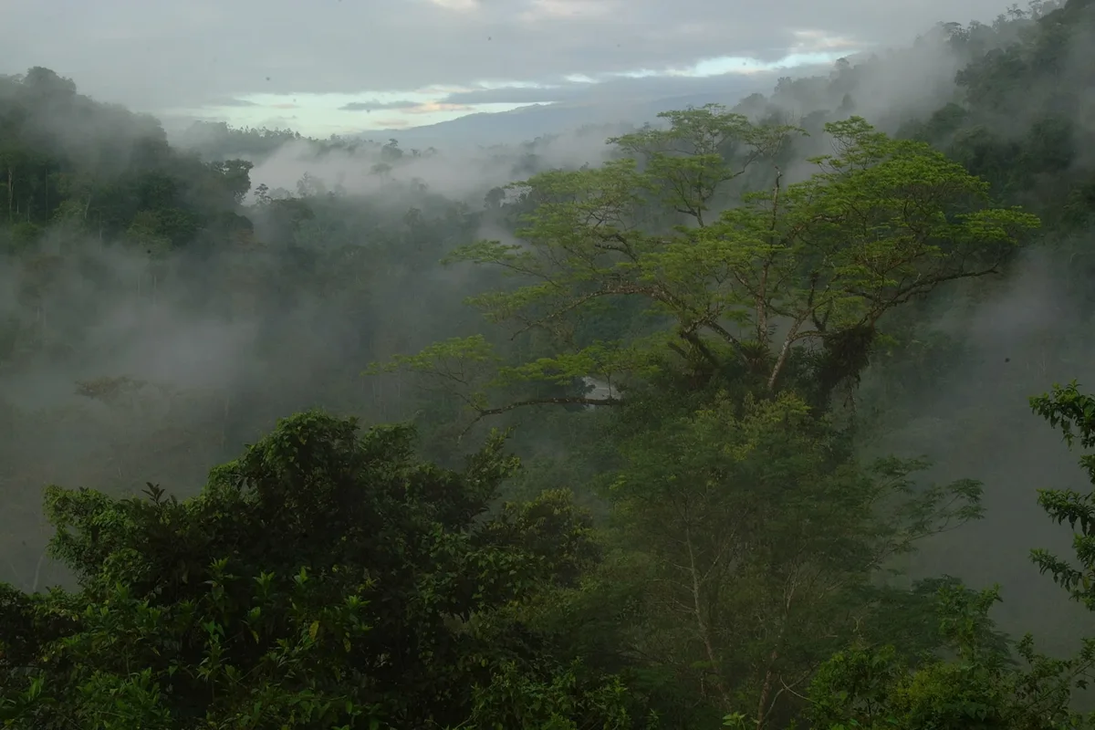 Monteverde Continental Divide 4x4 Ridge Transfer & Original Canopy Adventure