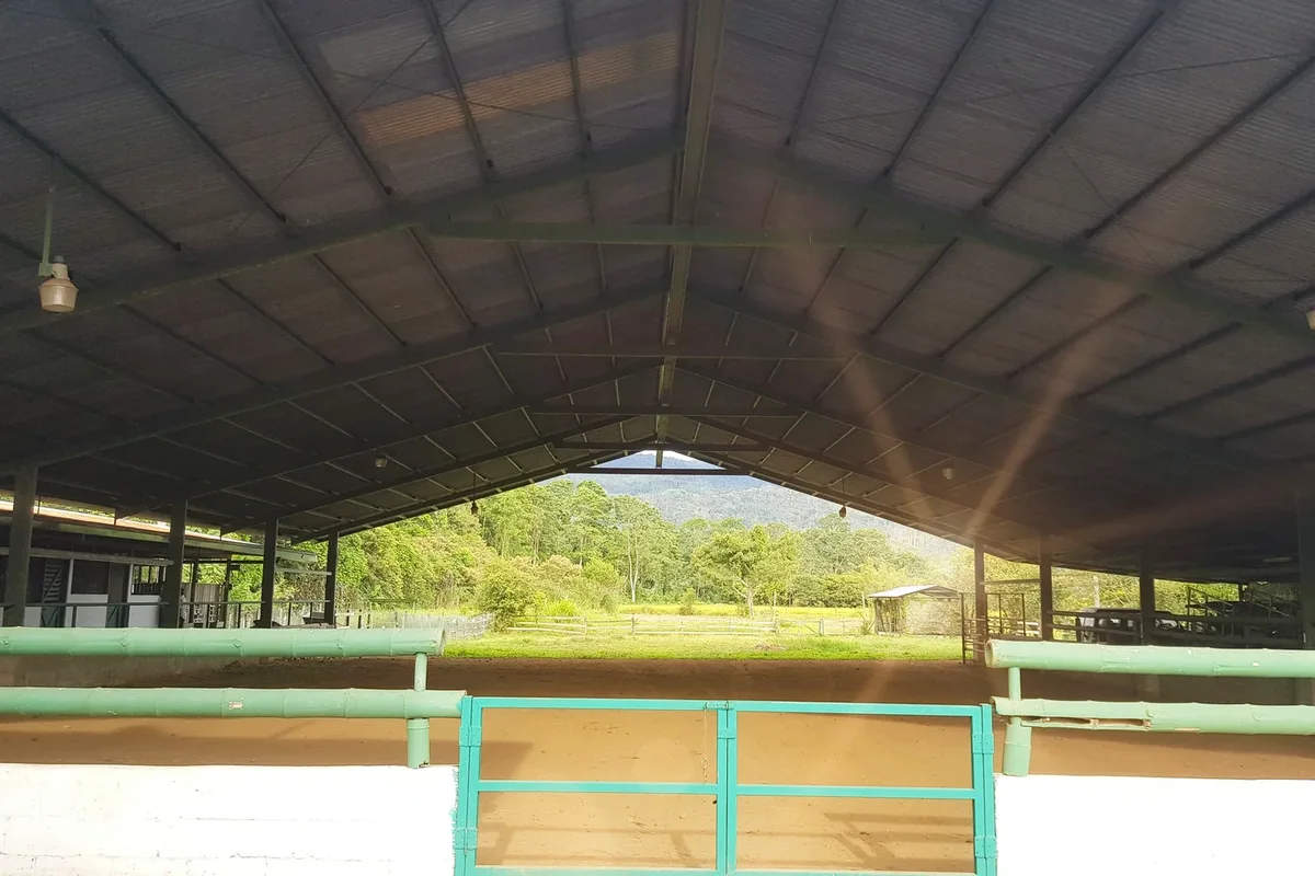 From San José: Full-Day 4x4 ATV, Rainforest Zipline & Pacific Day Expedition